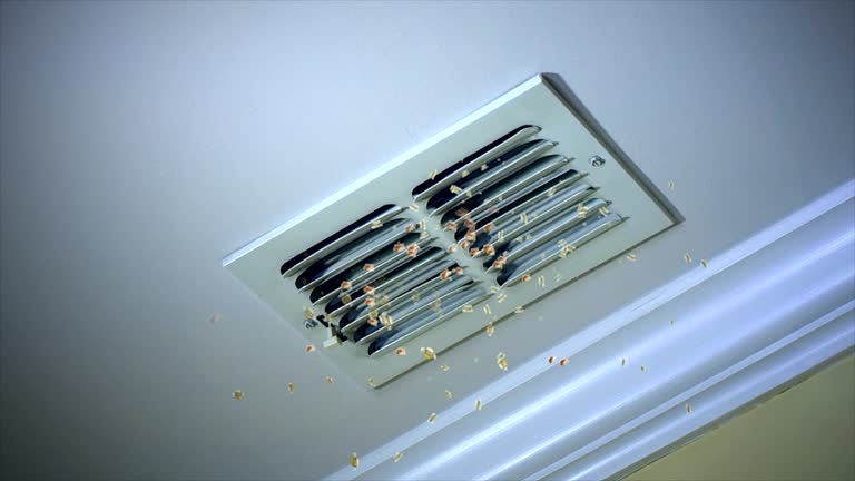 Best Best Air Duct Cleaning Company  in North Lima, OH